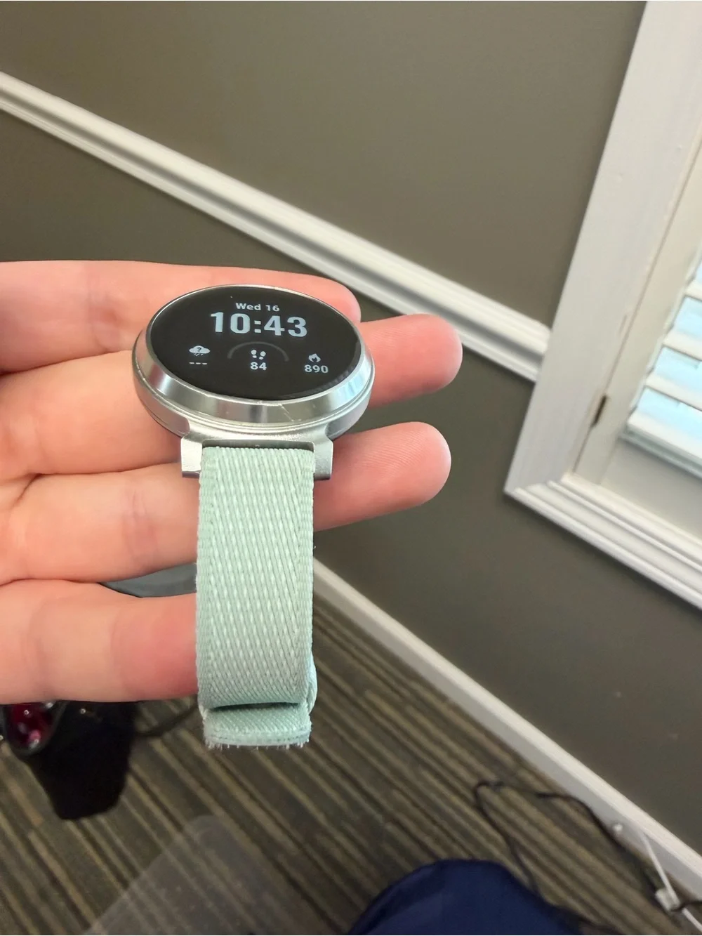 garmin lily classic
